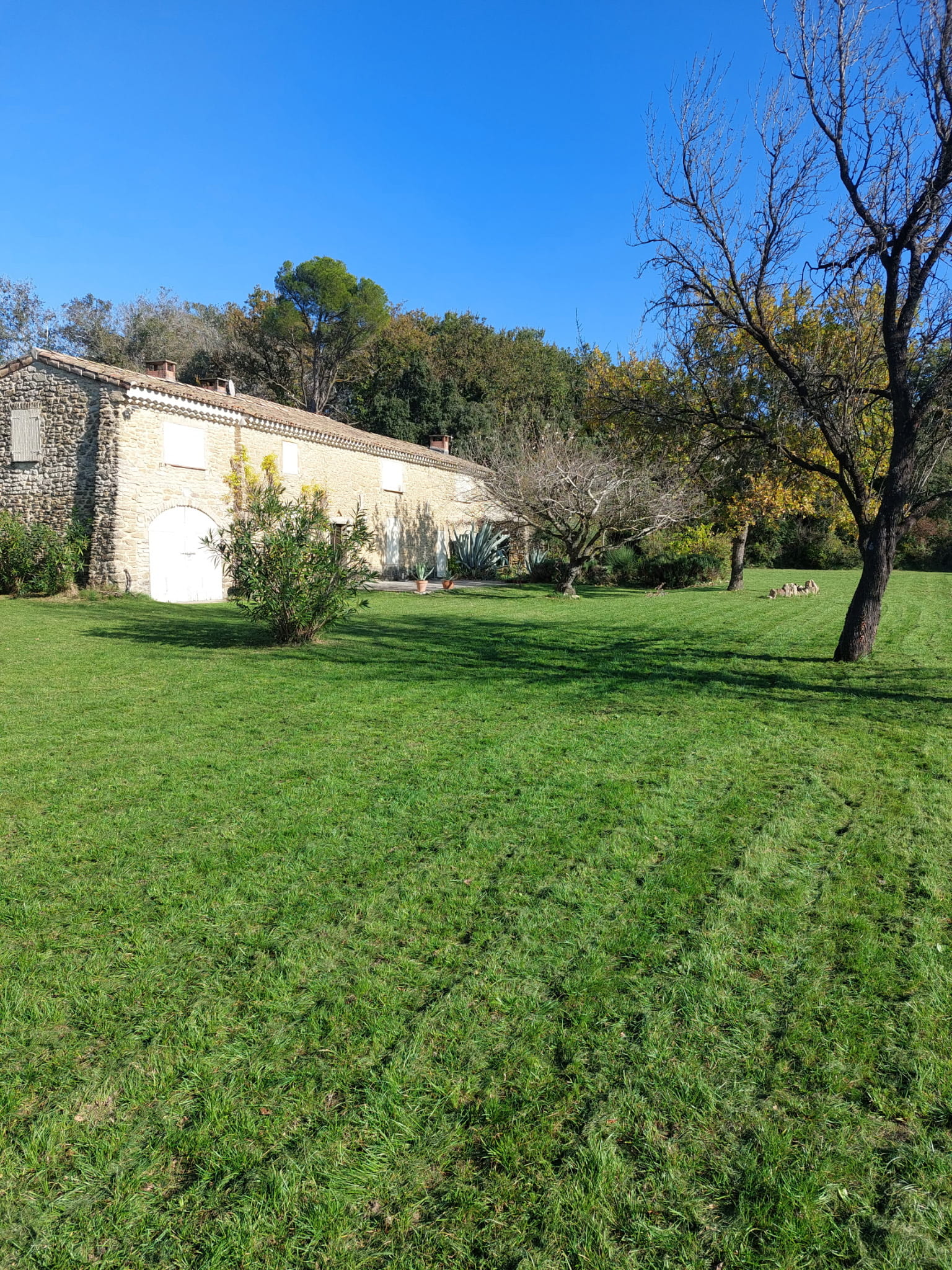 2066961573590145034 (1)