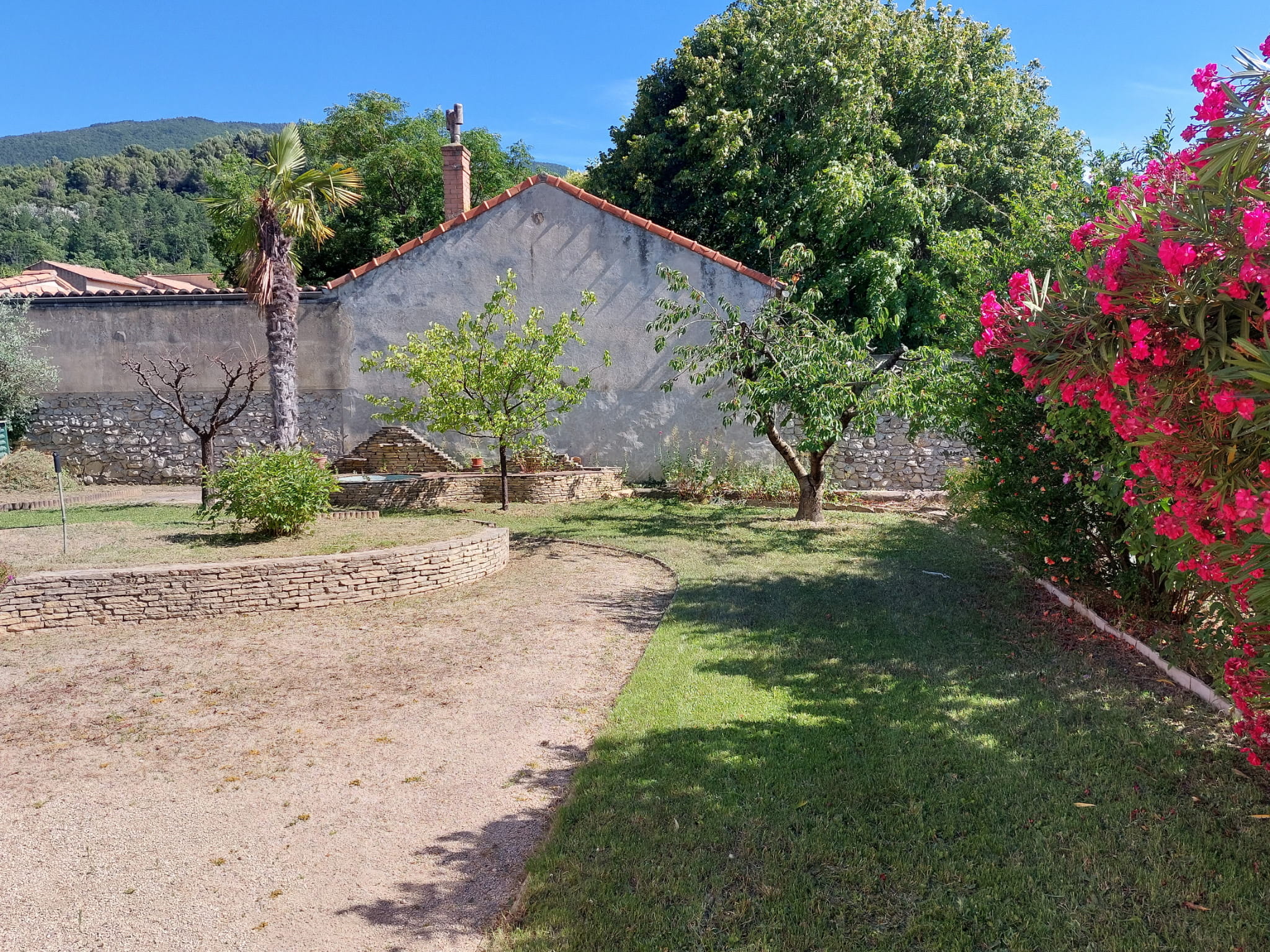 5333289916995479741 (1)